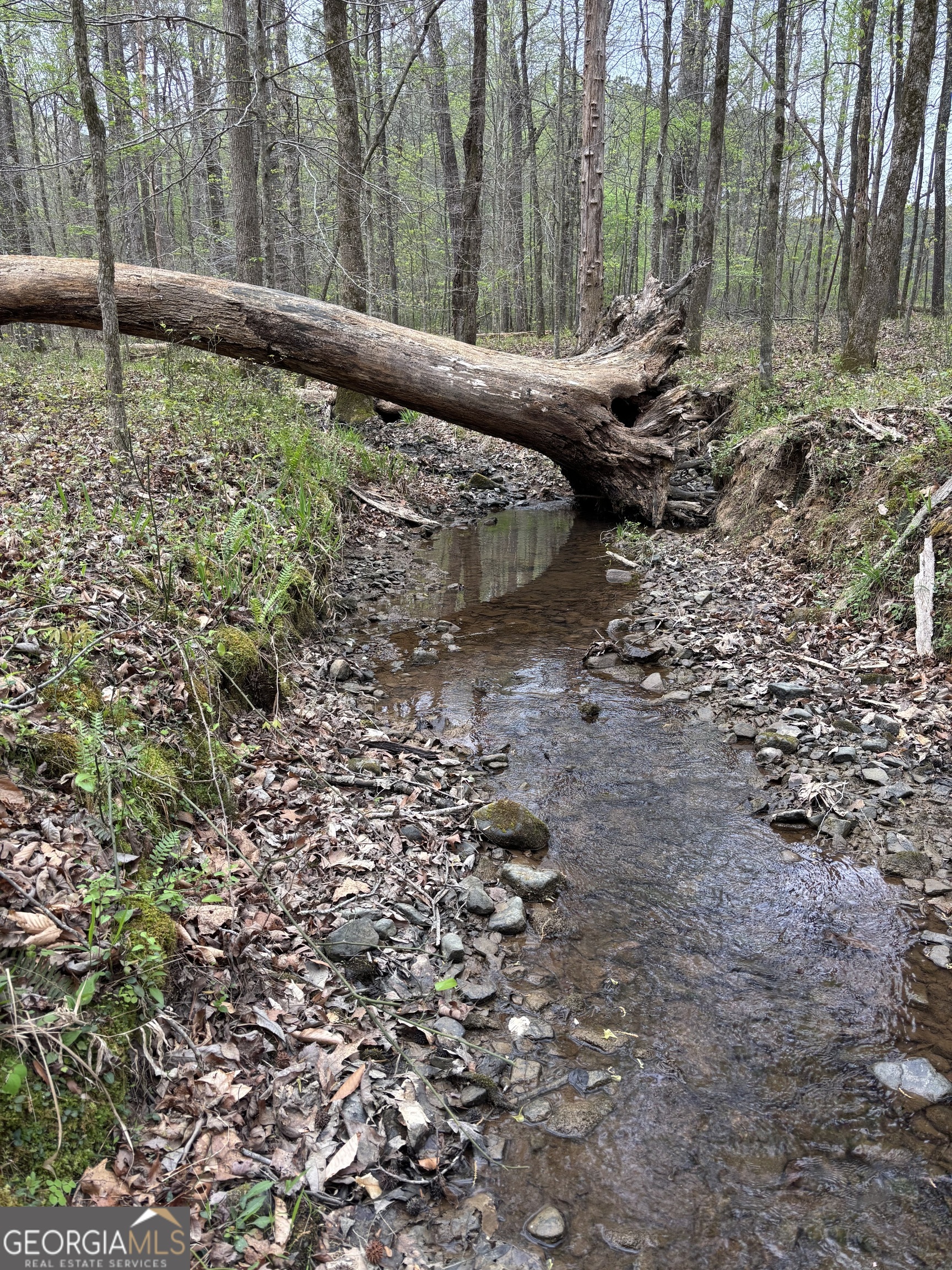 2246 Neal Gap Road Summerville, GA 30747 - Photo 35 of 44