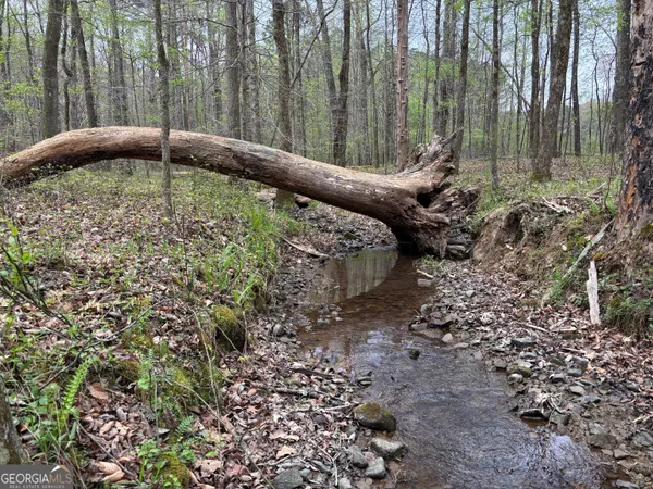 a view of a backyard with fountain