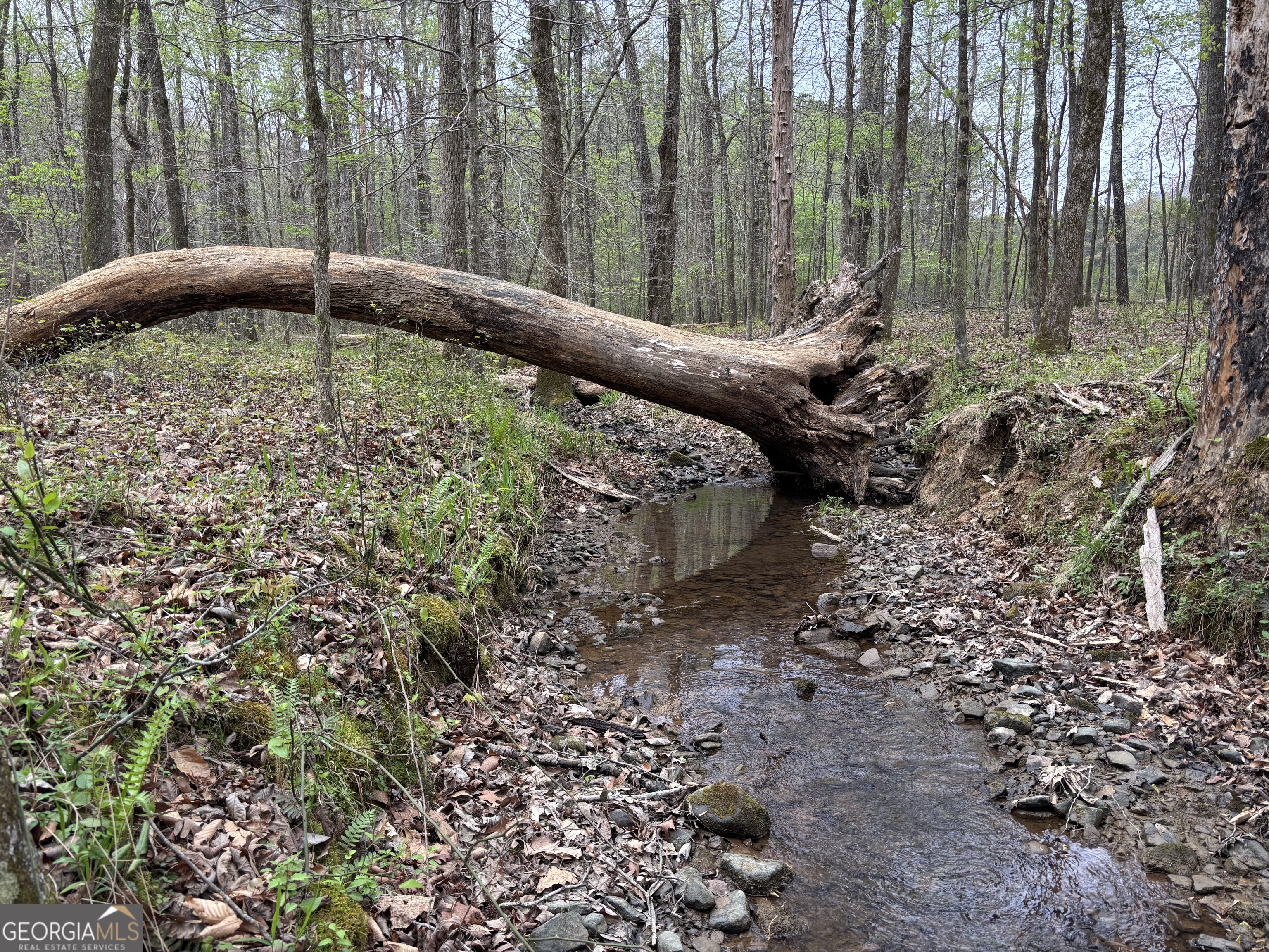 2246 Neal Gap Road Summerville, GA 30747 - Photo 36 of 44