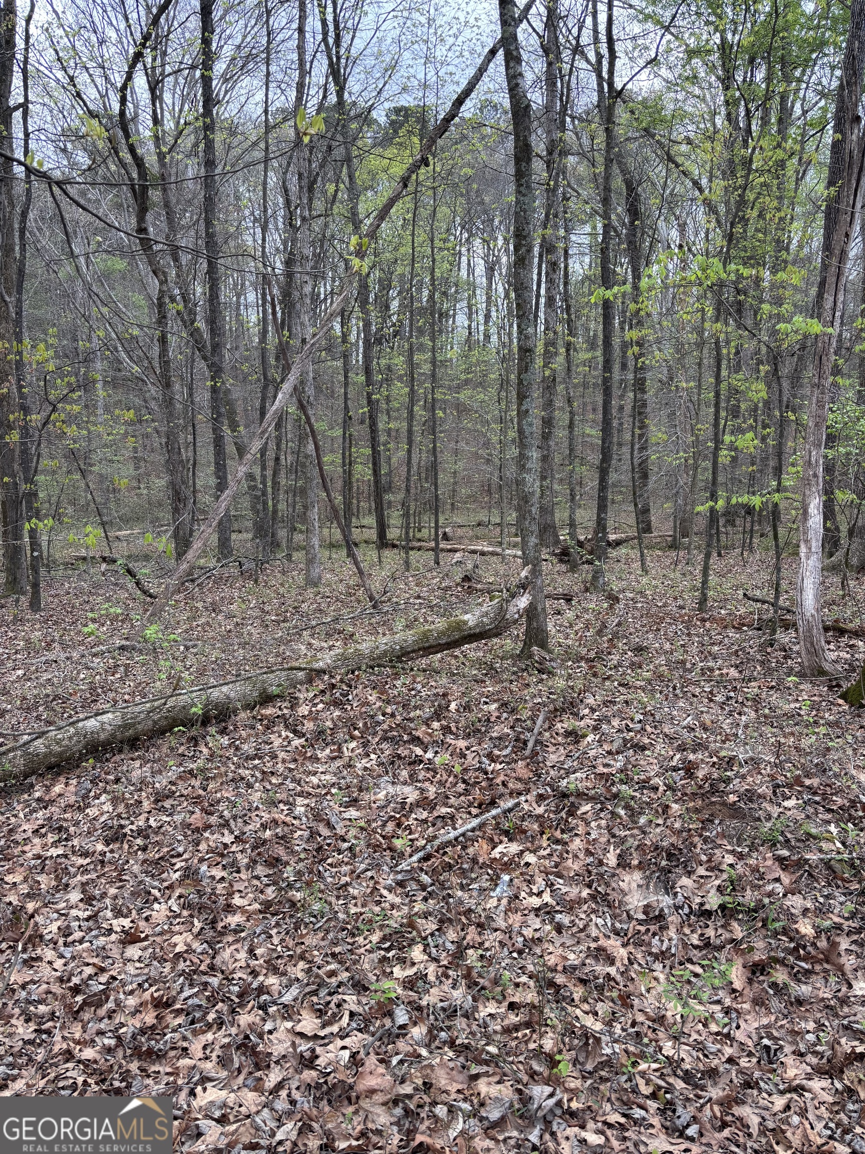 2246 Neal Gap Road Summerville, GA 30747 - Photo 37 of 44