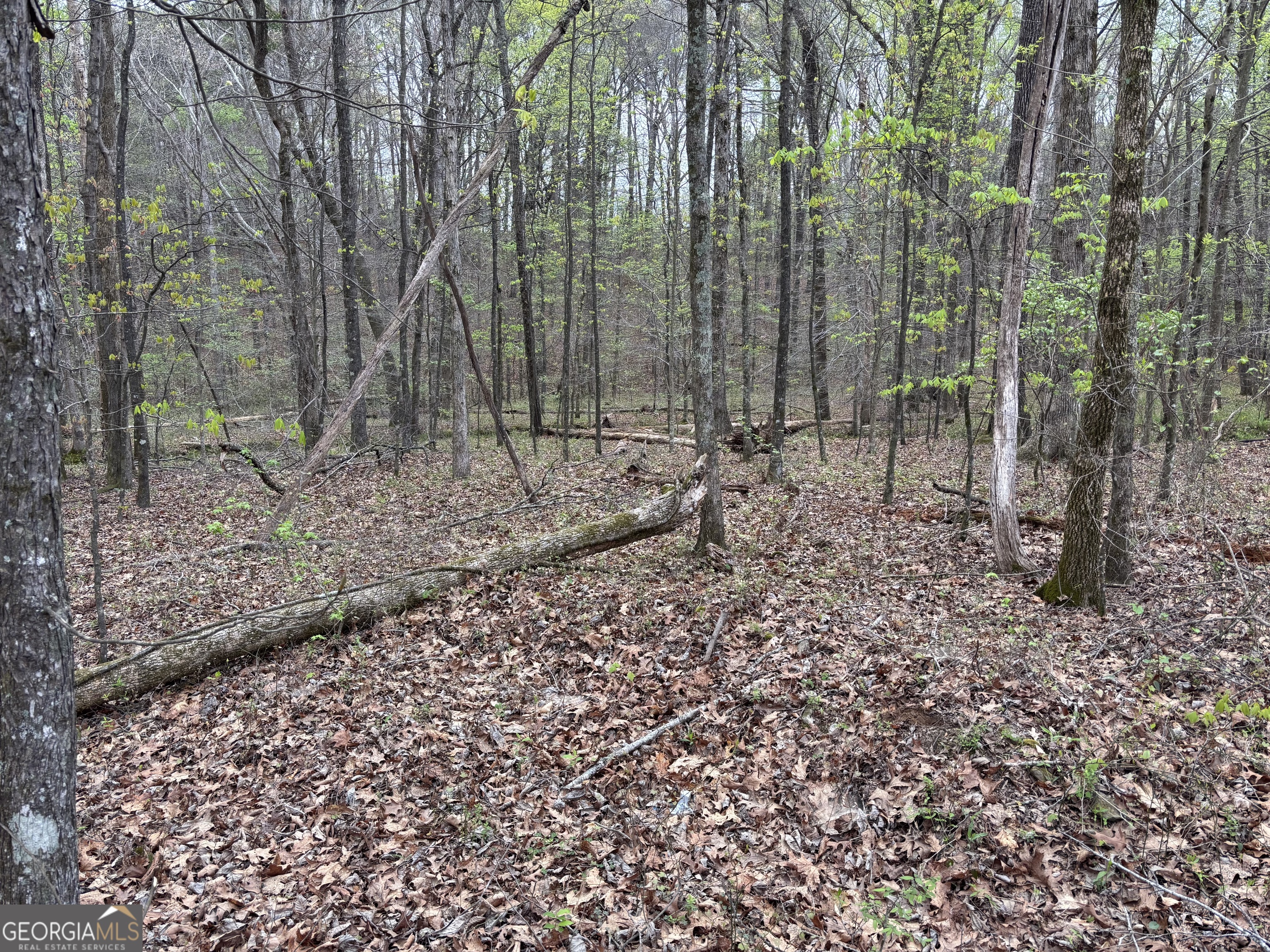 2246 Neal Gap Road Summerville, GA 30747 - Photo 38 of 44