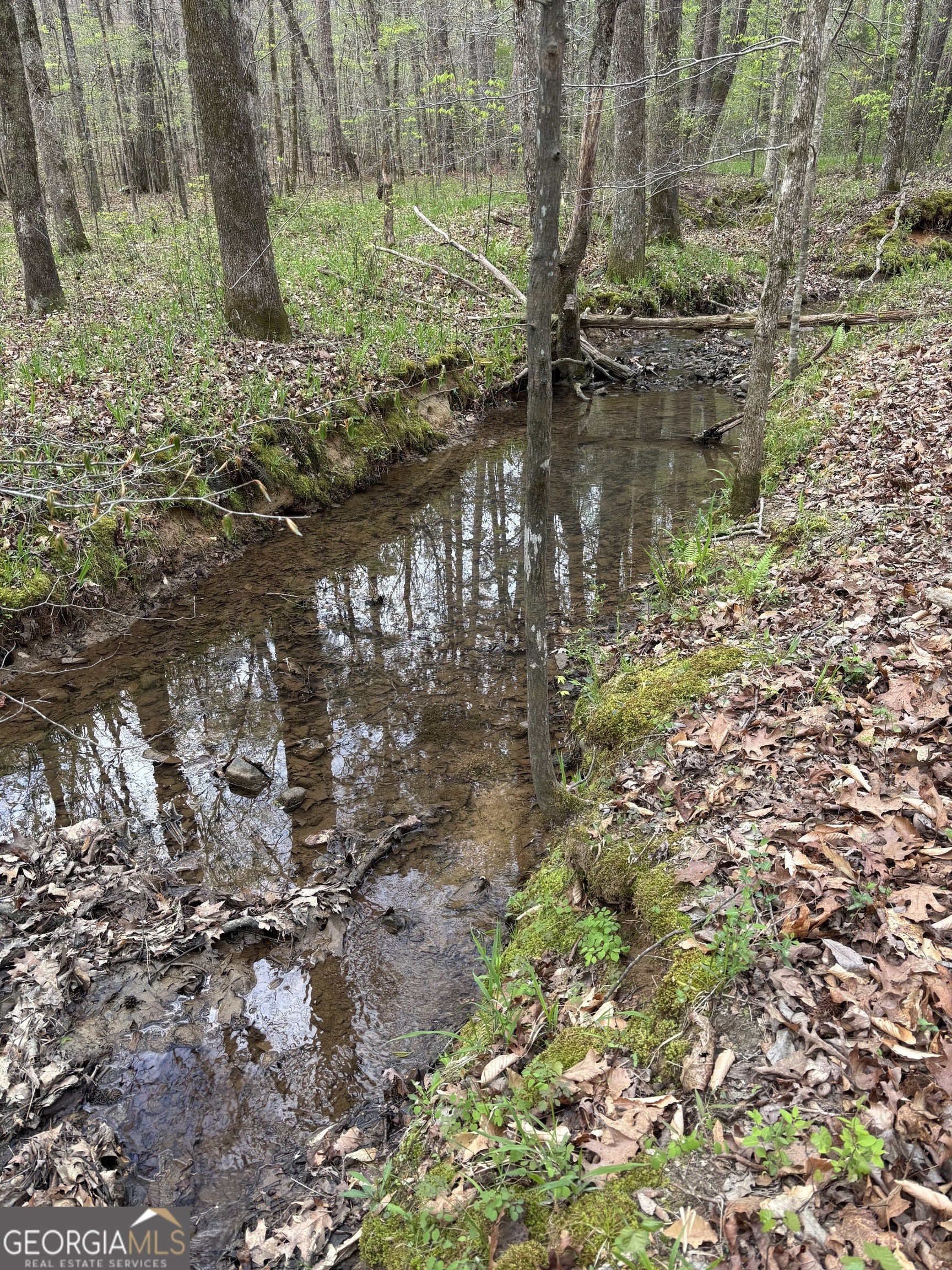 2246 Neal Gap Road Summerville, GA 30747 - Photo 39 of 44