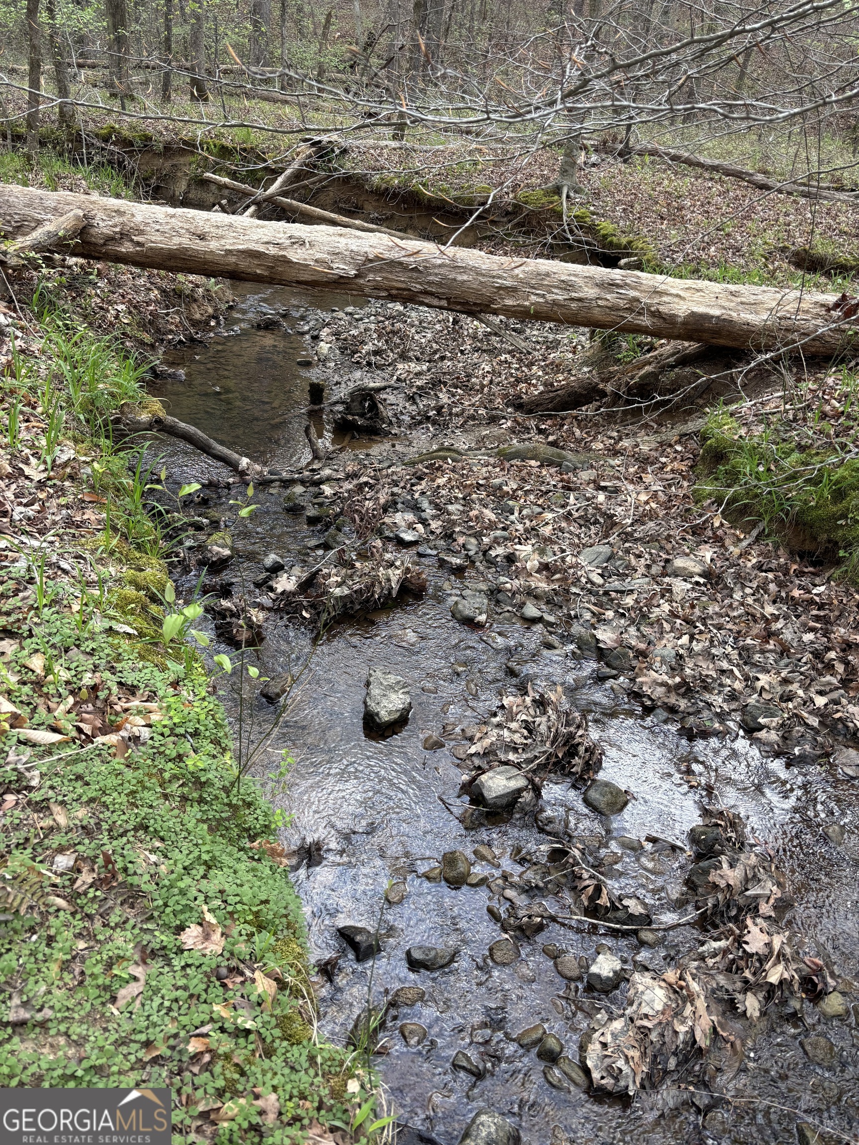 2246 Neal Gap Road Summerville, GA 30747 - Photo 40 of 44