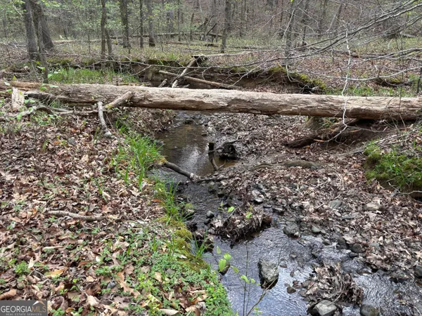 a view of a yard with plants and trees