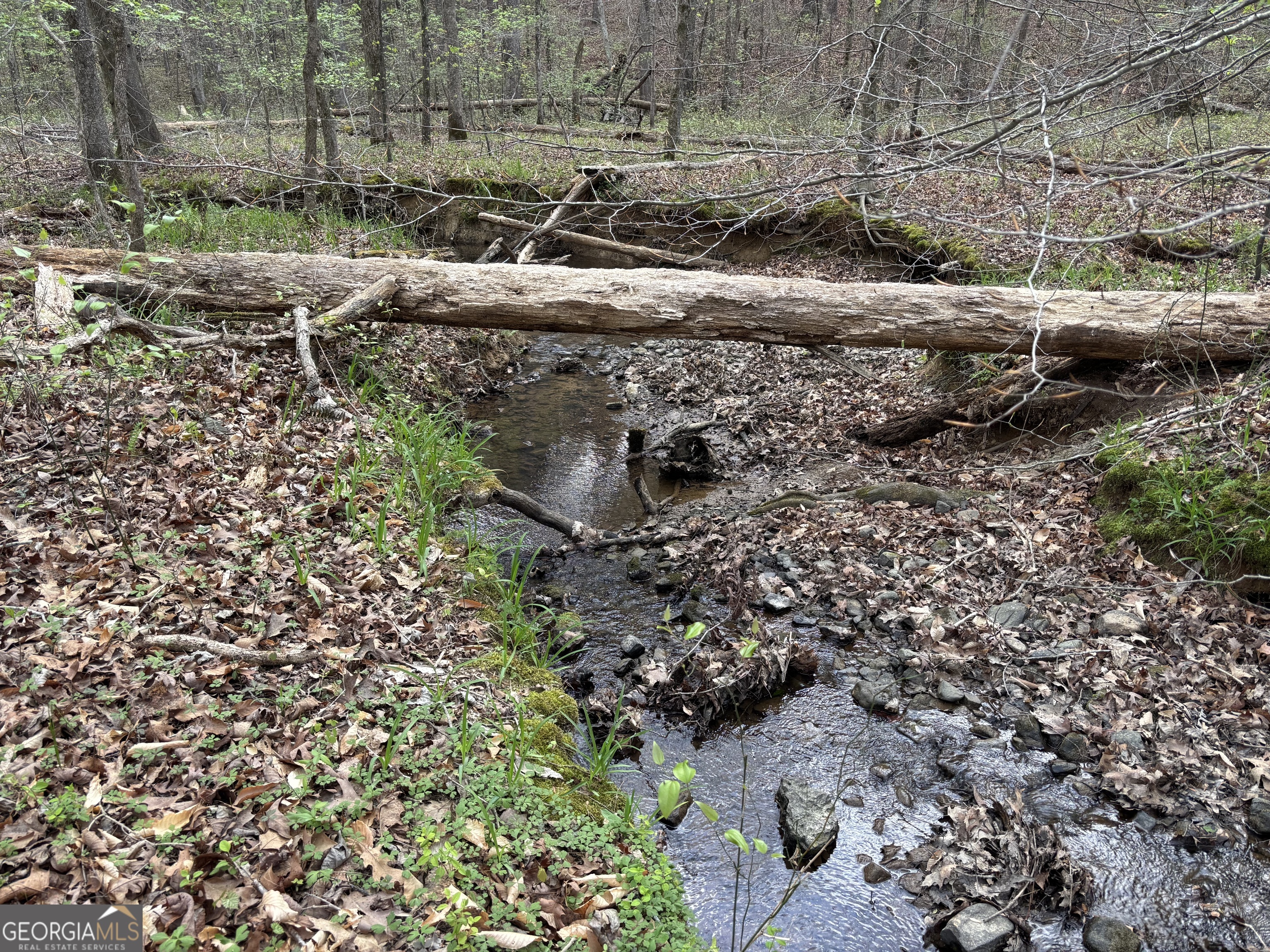 2246 Neal Gap Road Summerville, GA 30747 - Photo 41 of 44
