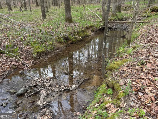a view of lake with green space