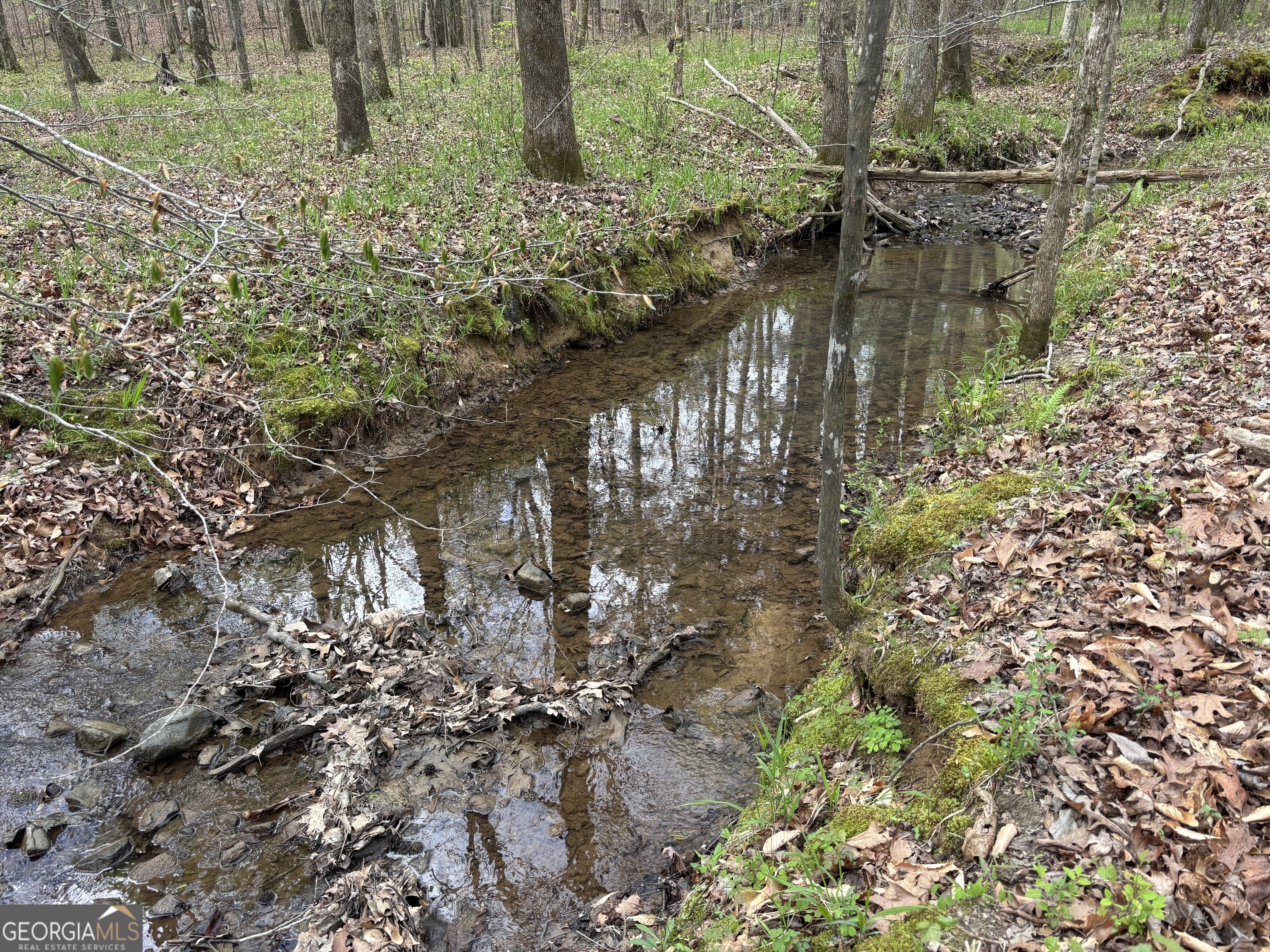 2246 Neal Gap Road Summerville, GA 30747 - Photo 42 of 44