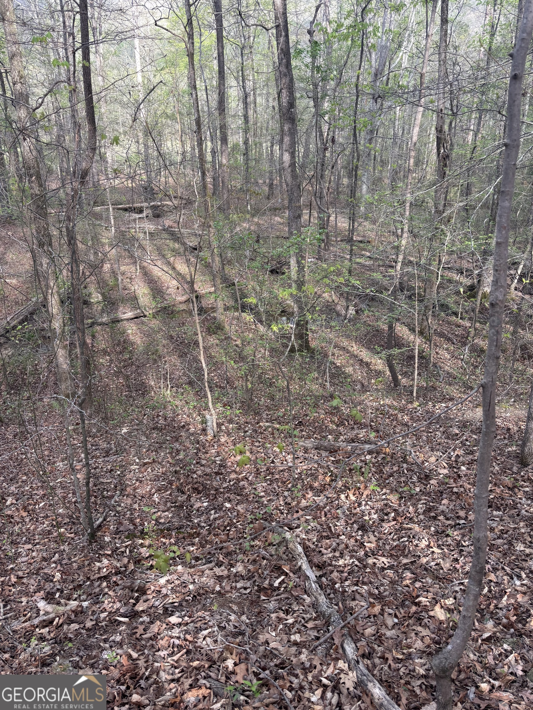 2246 Neal Gap Road Summerville, GA 30747 - Photo 43 of 44