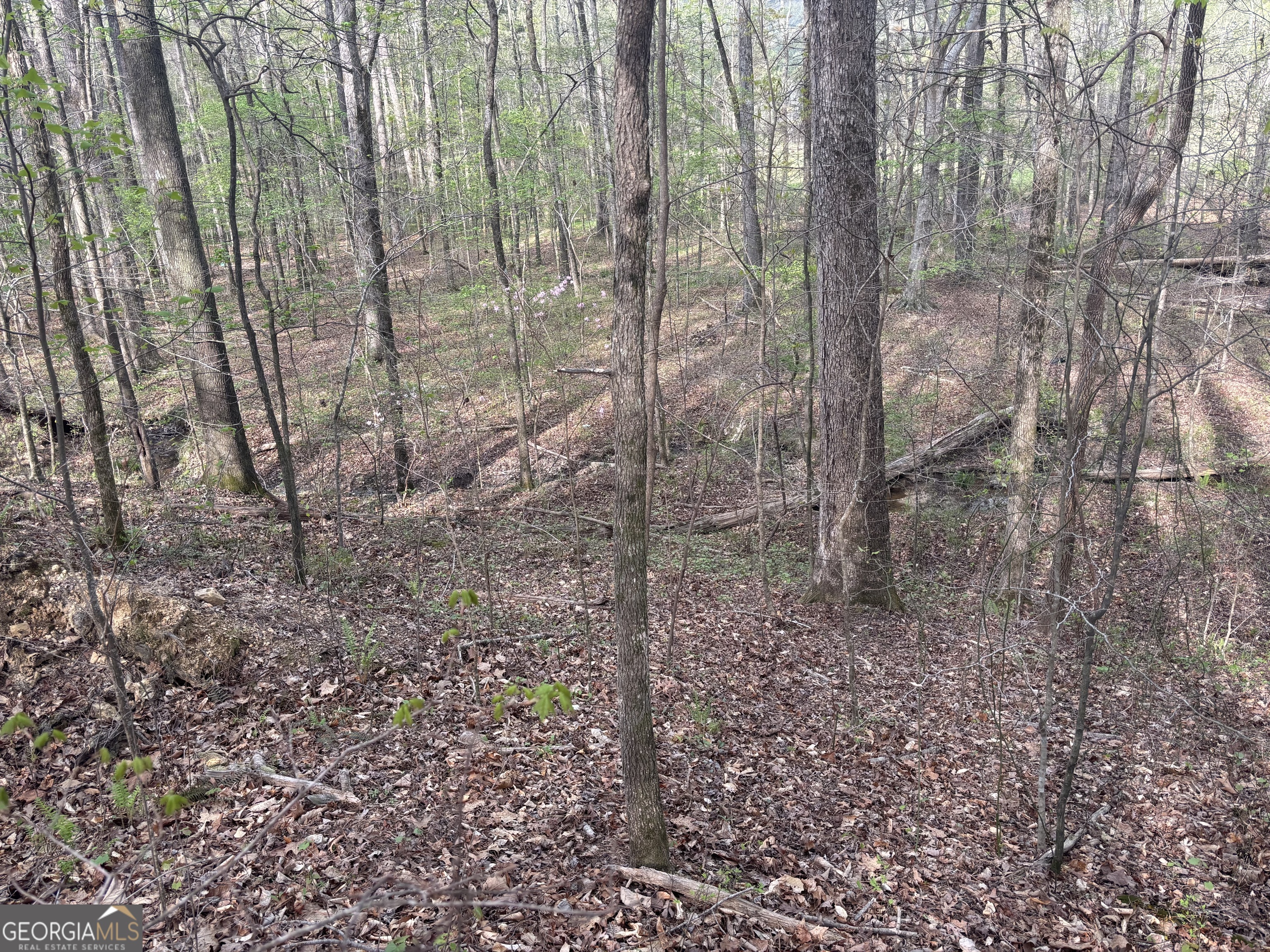 2246 Neal Gap Road Summerville, GA 30747 - Photo 44 of 44