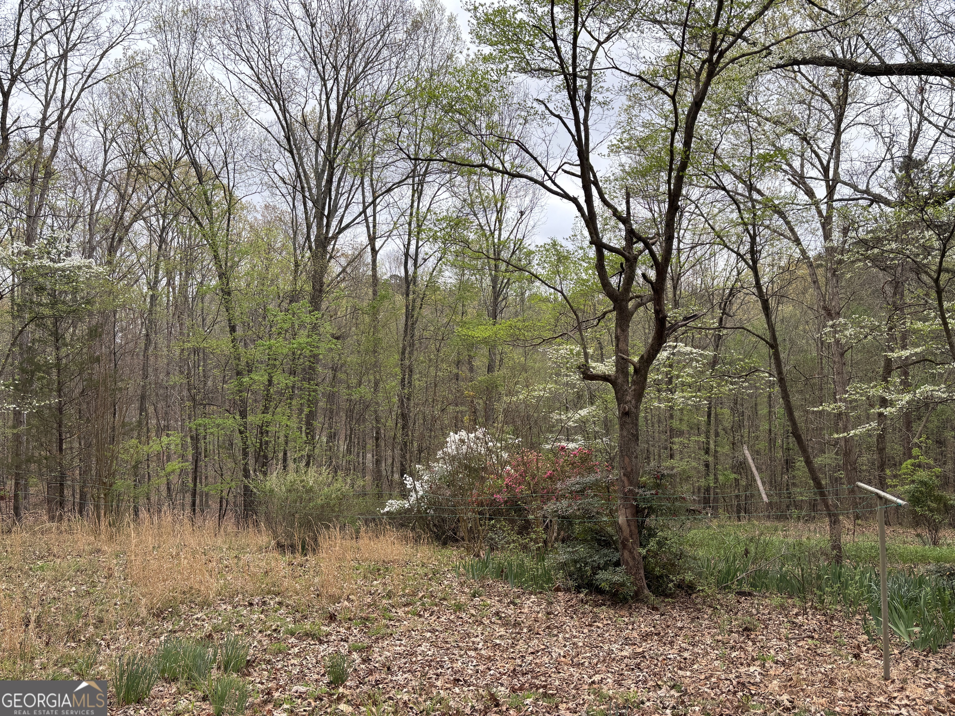 2246 Neal Gap Road Summerville, GA 30747 - Photo 5 of 44