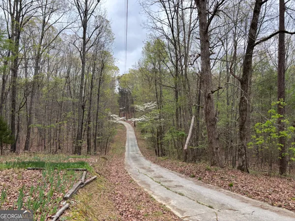 a view of a park with large trees