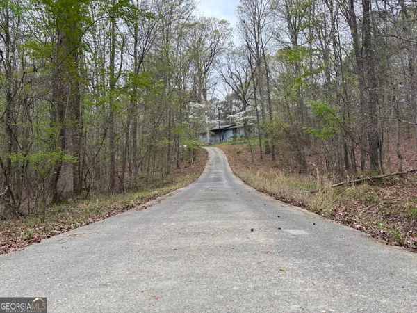 a view of a dry yard with trees