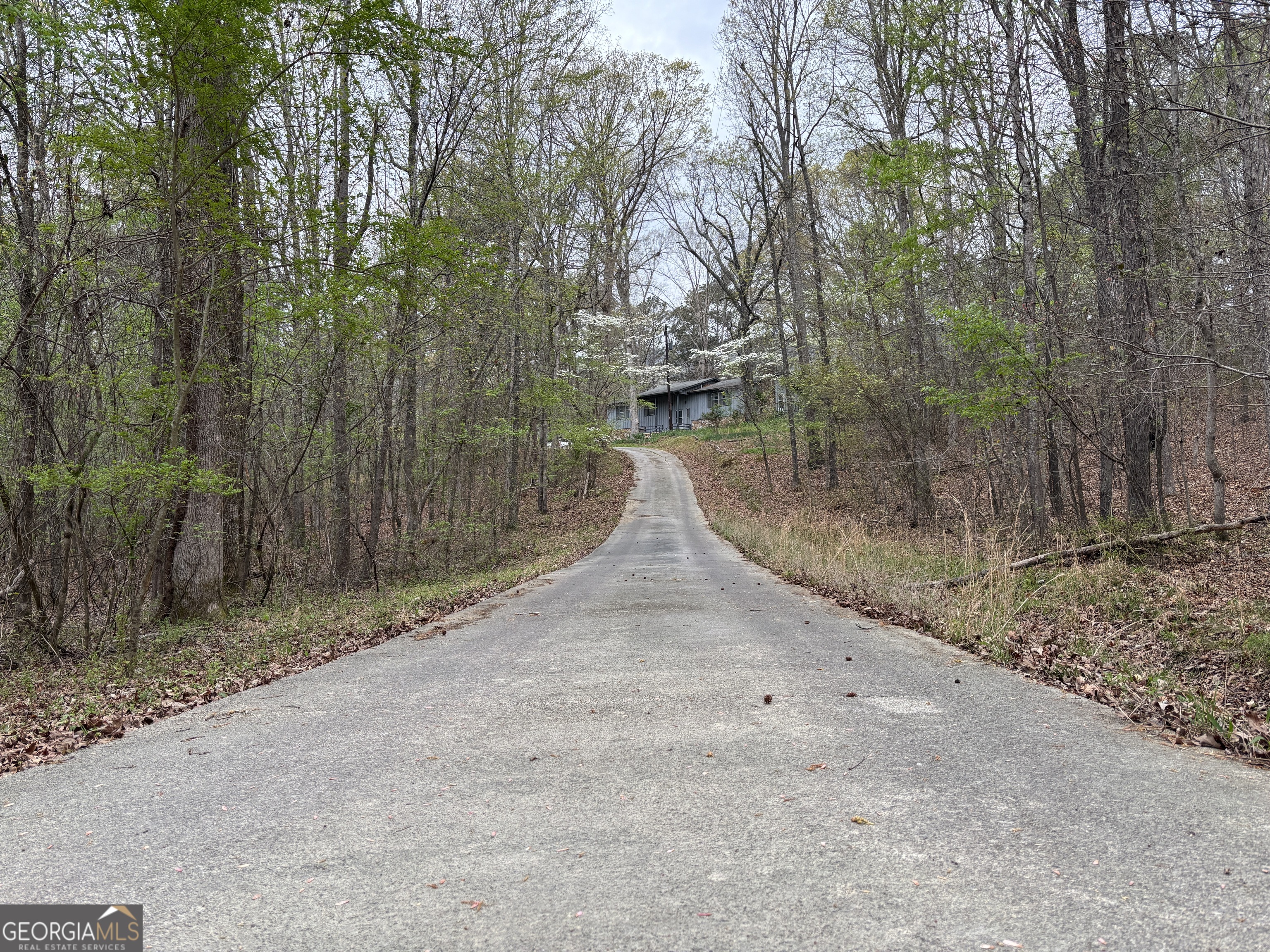 2246 Neal Gap Road Summerville, GA 30747 - Photo 8 of 44