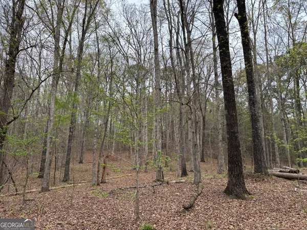 a backyard of a house with lots of trees