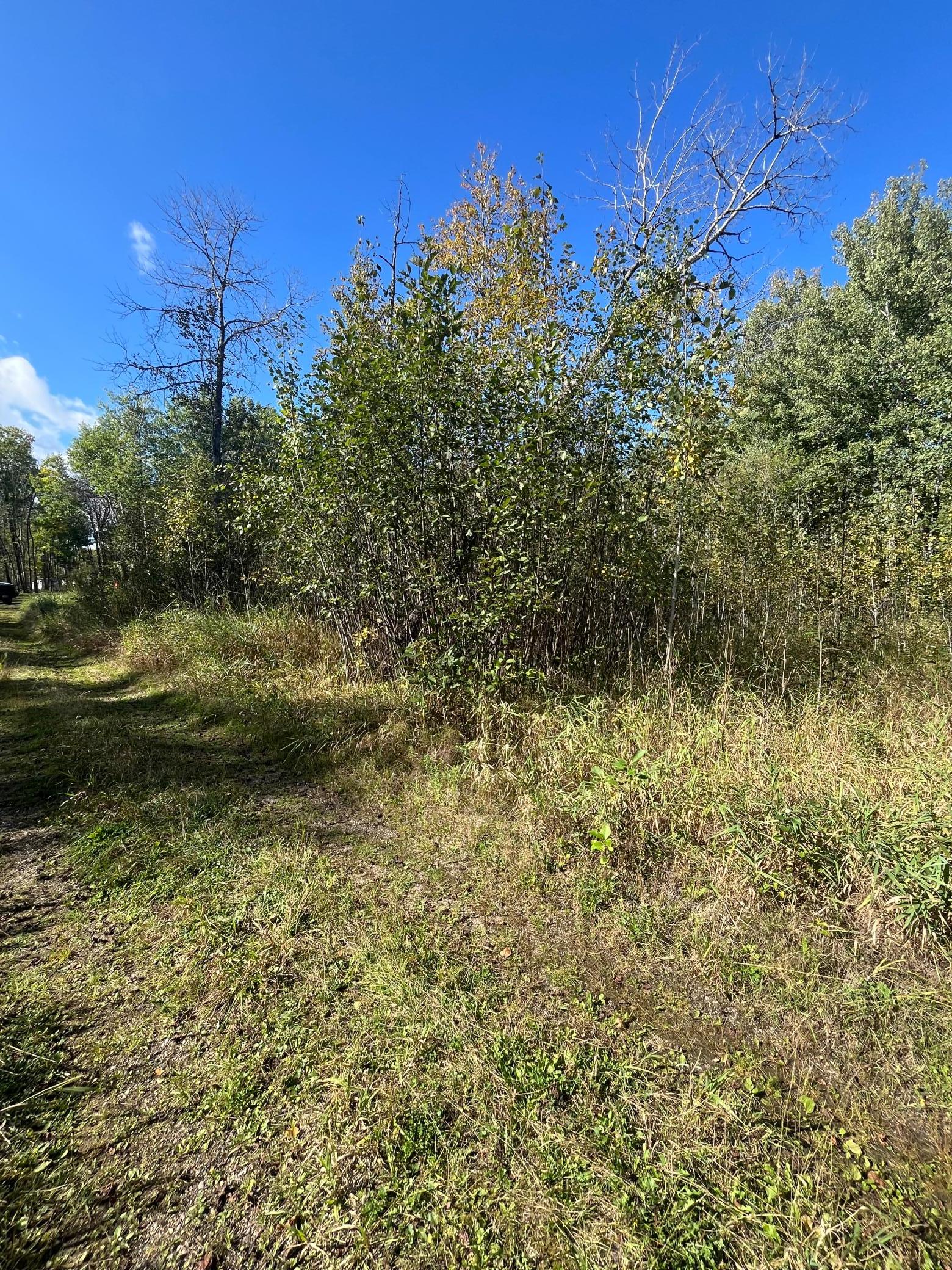 1 East Pine Drive Angle Inlet, MN 56711 - Photo 17 of 21