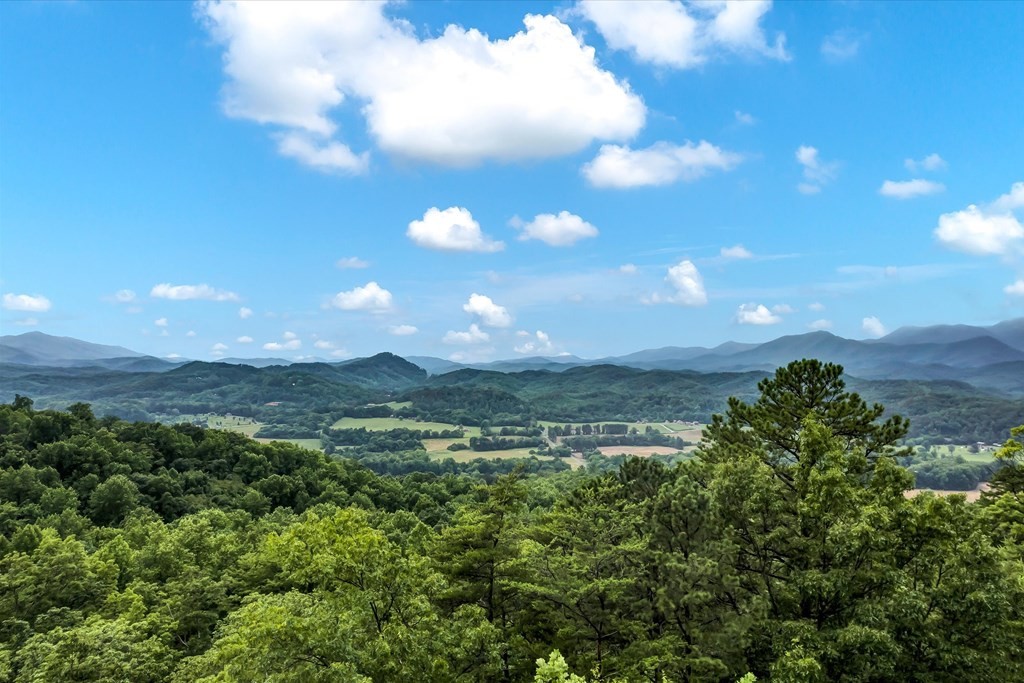 0 Green Forest Road Cosby, TN 37722 - Photo 12 of 35
