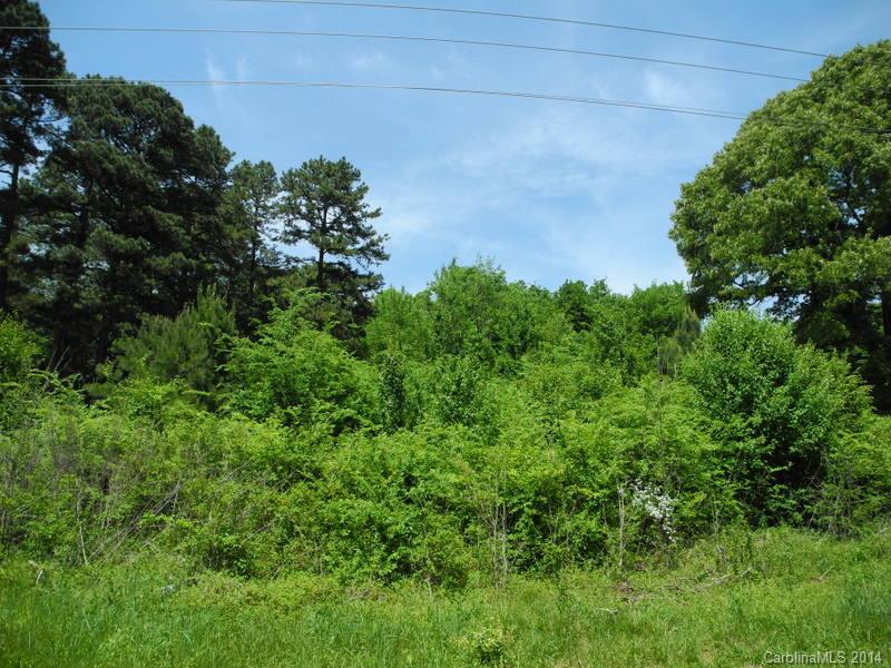 Lot 16 Hagers Ferry Road Denver, NC 28037 - Photo 8 of 10 Gallery Image 8
