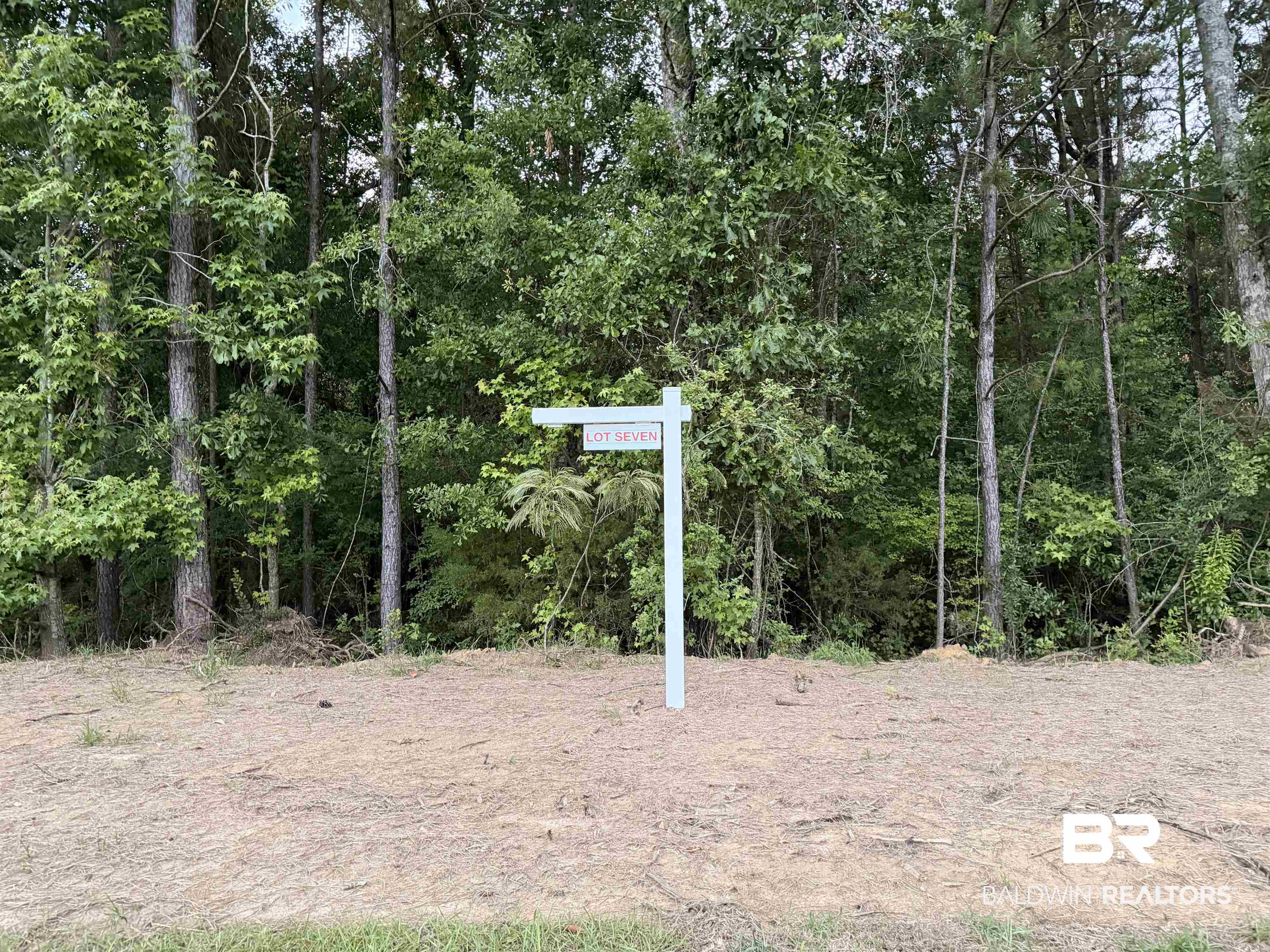 -pine Grove Rd Pine Grove Rd Pine Grove Road Bay Minette, AL 36507 - Photo 11 of 14