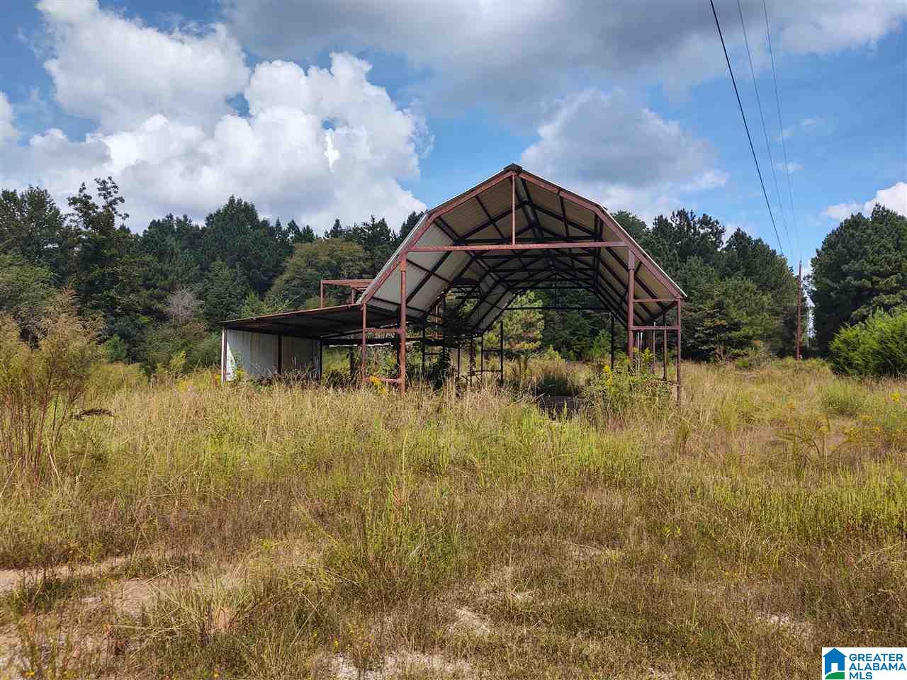 17160 Lock 17 Road, Unit 1 Brookwood, AL 35444 - Photo 2 of 13