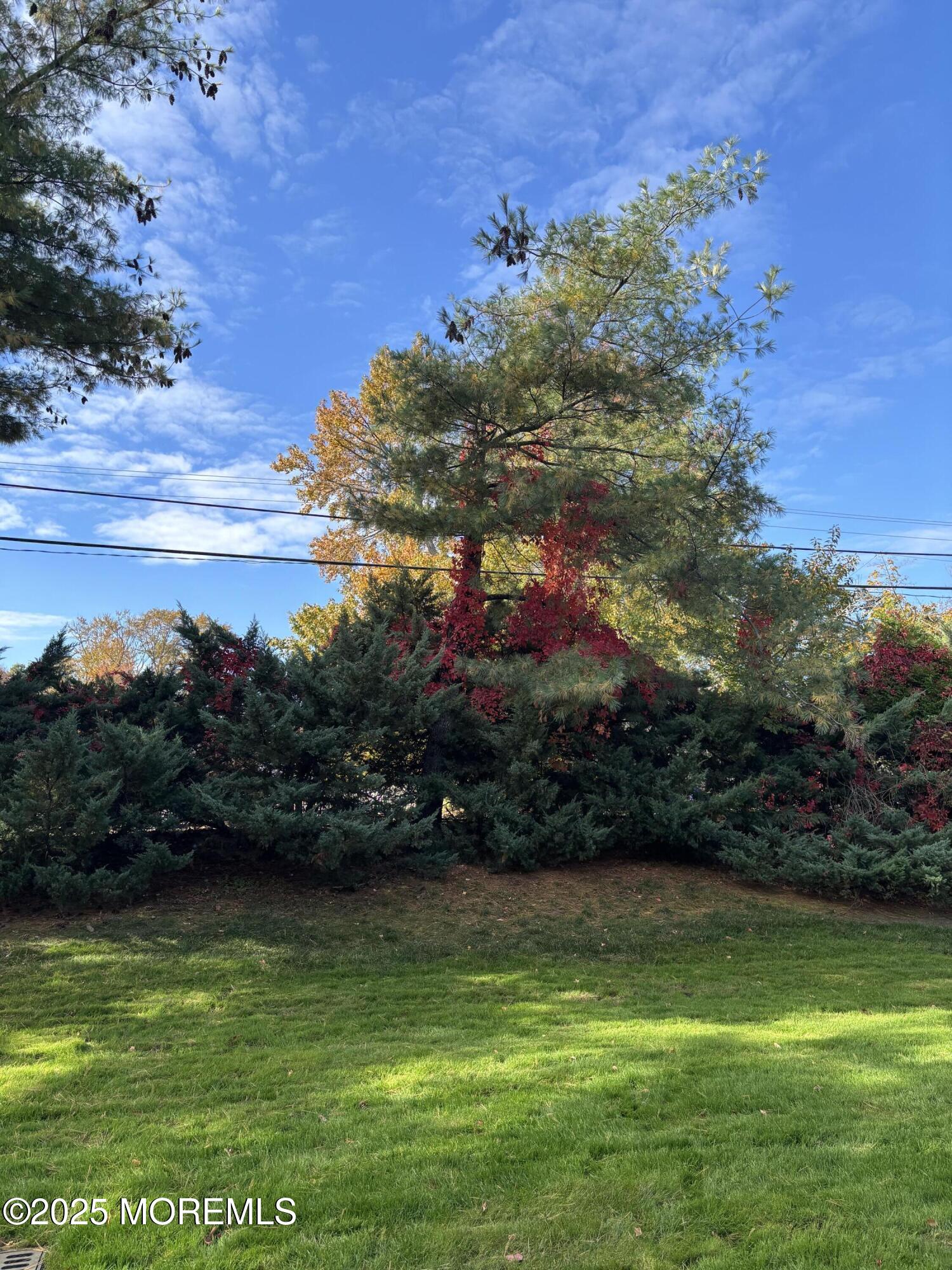 159 Village Green Way Hazlet, NJ 07730 - Photo 17 of 17 a view of residential houses with outdoor space