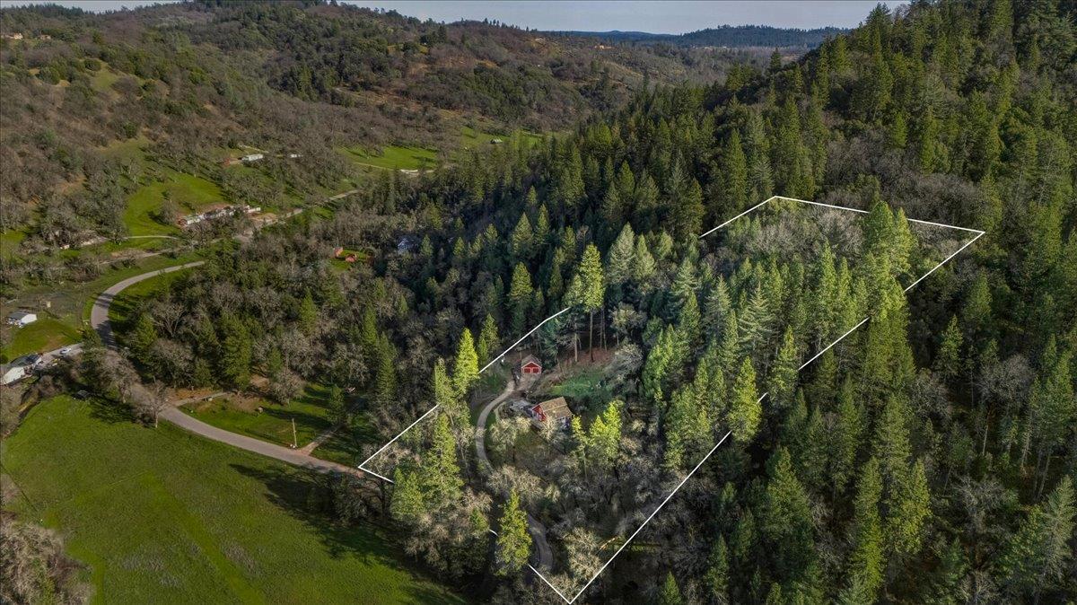 15153 Norvin Way Grass Valley, CA 95949 - Photo 45 of 56