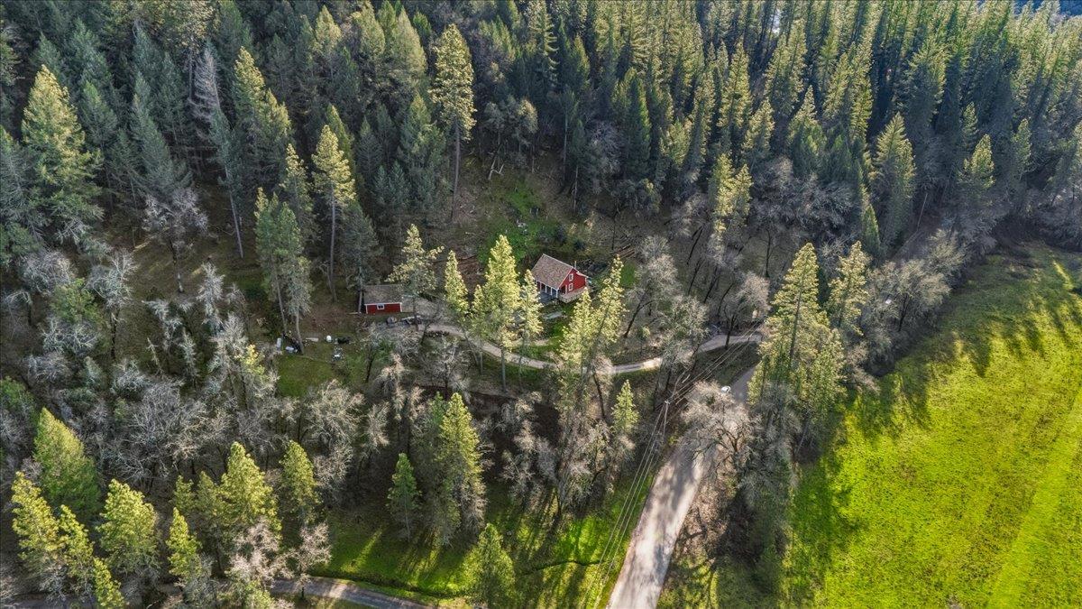 15153 Norvin Way Grass Valley, CA 95949 - Photo 50 of 56