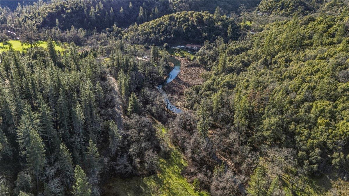 15153 Norvin Way Grass Valley, CA 95949 - Photo 52 of 56