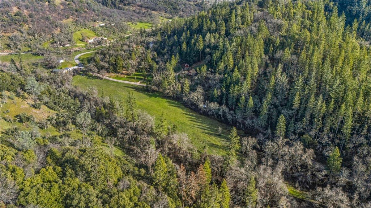 15153 Norvin Way Grass Valley, CA 95949 - Photo 54 of 56