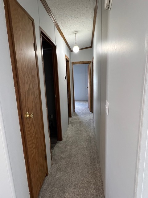 9 Gerard Drive Bloomington, IL 61701 - Photo 10 of 23