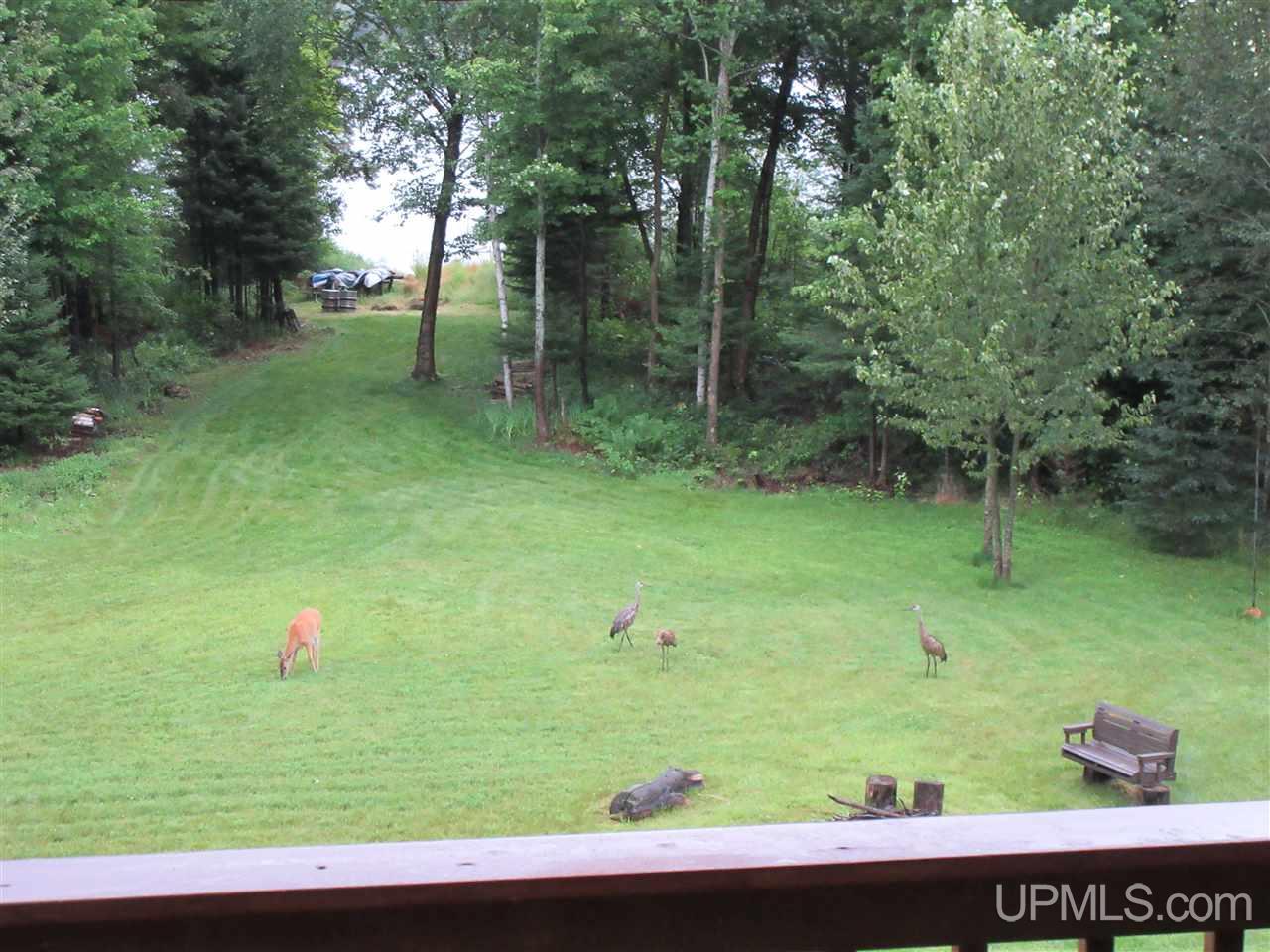 119 Ridge View Drive Iron River, MI 49935 - Photo 18 of 44