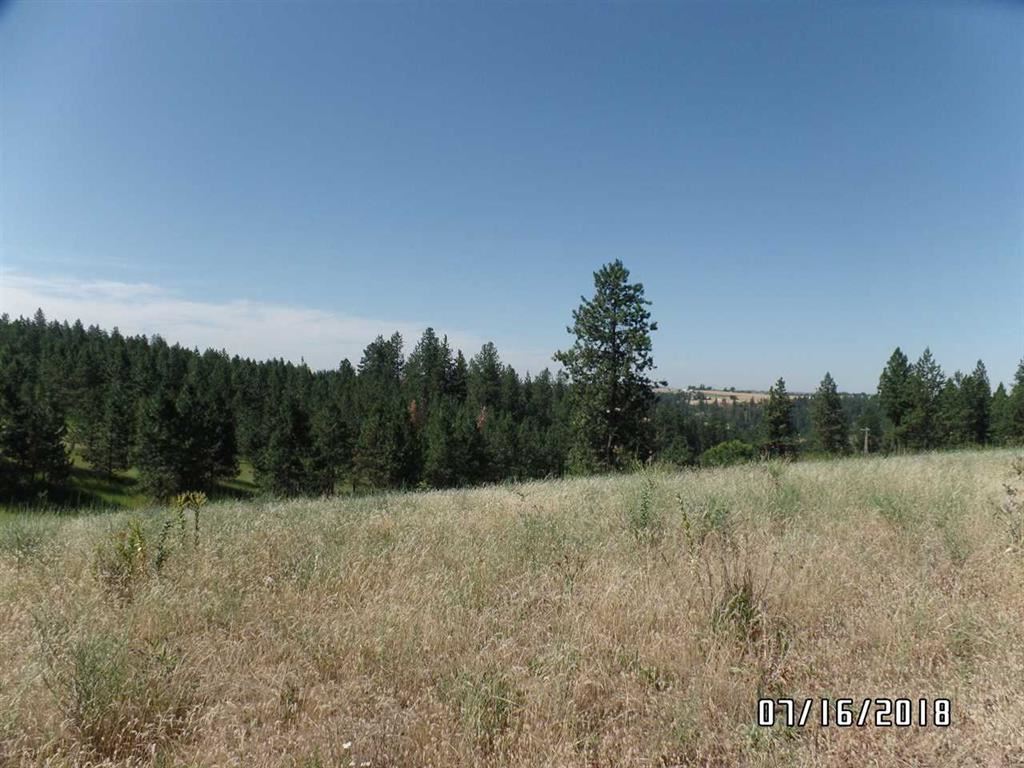 0 East Foothills Road Spokane, WA 99217 - Photo 7 of 8
