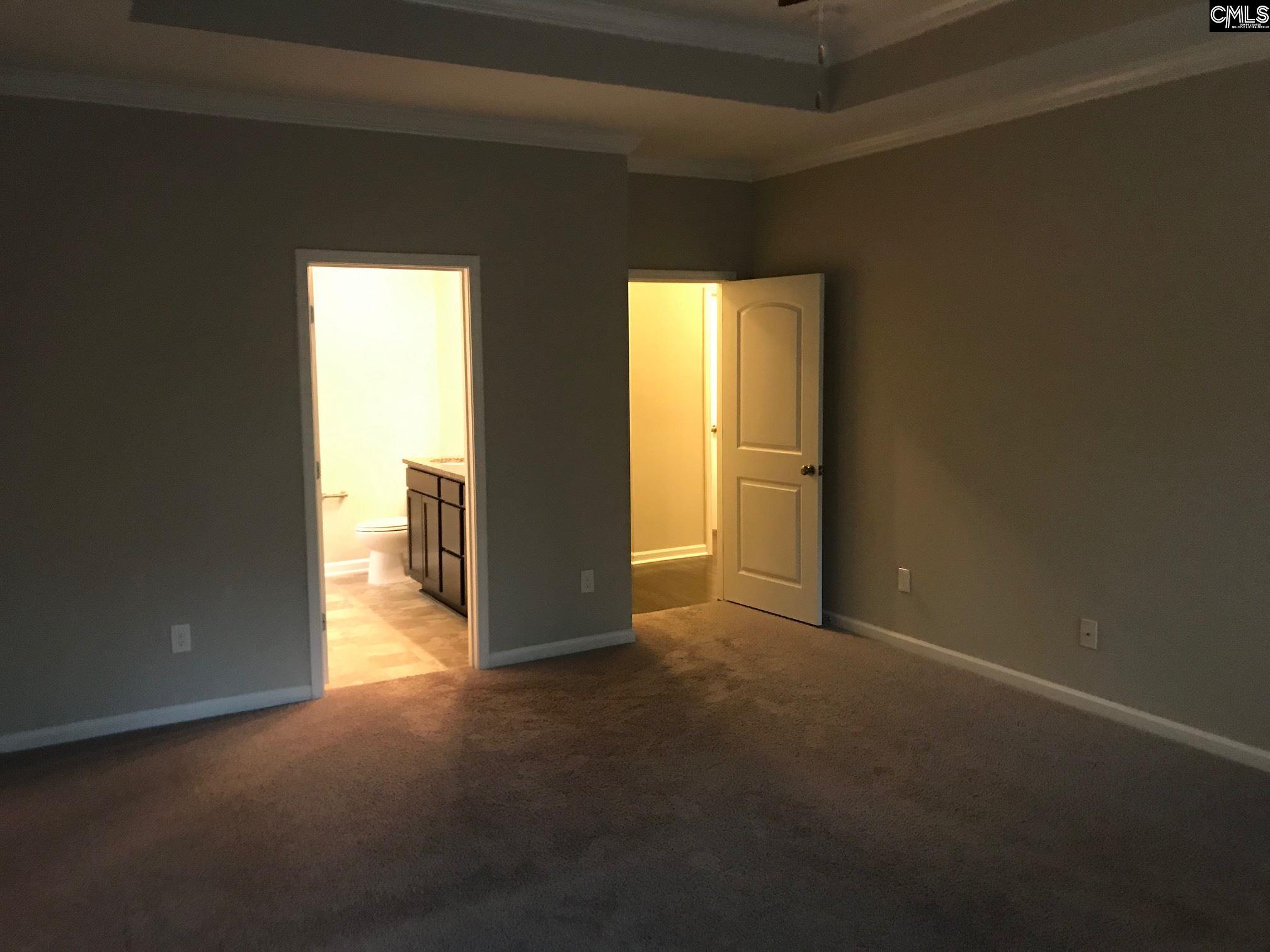 374 Hollow Cove Road Chapin, SC 29036 - Photo 13 of 22