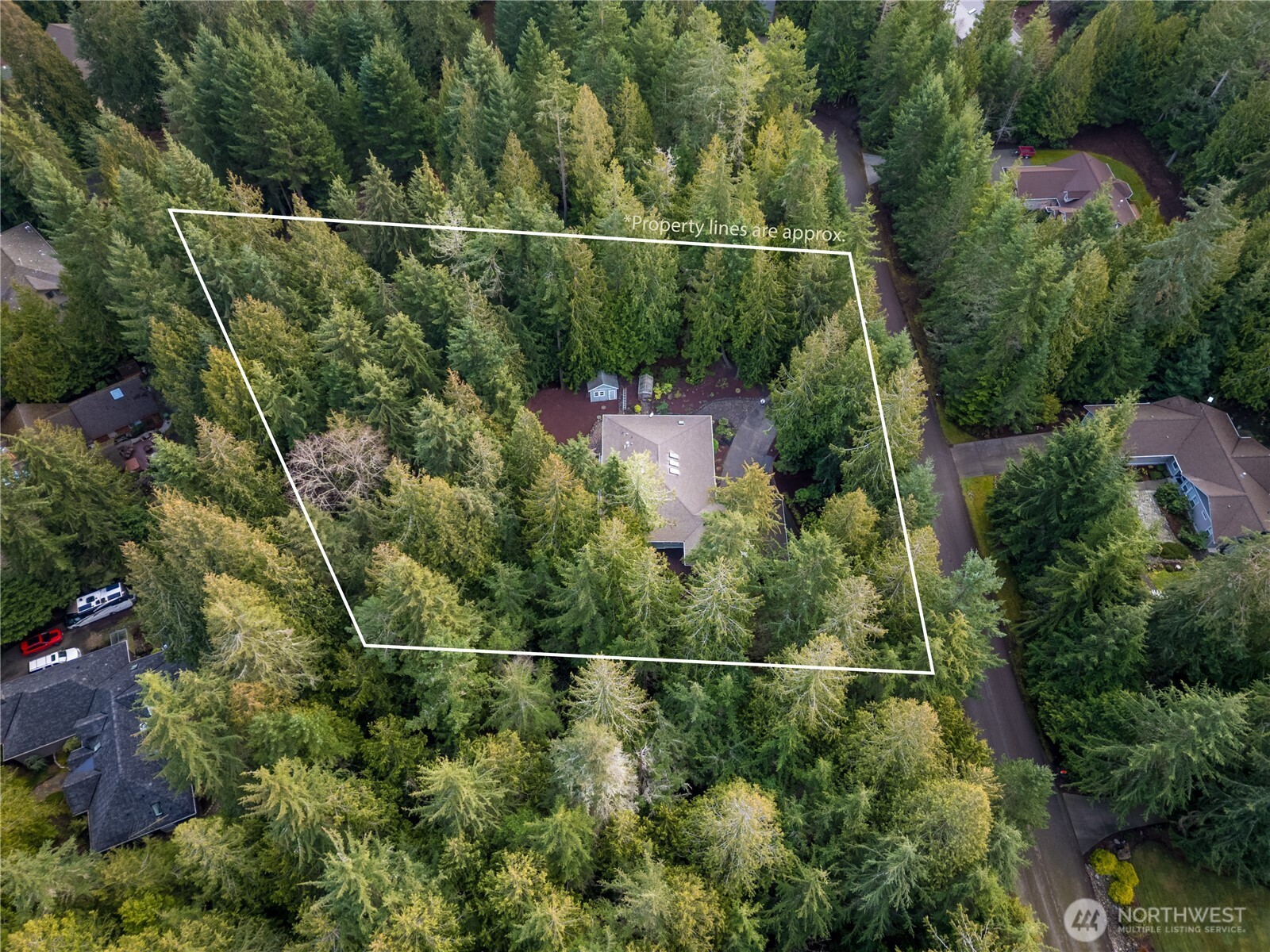 121 Buck Loop Road Sequim, WA 98382 - Photo 3 of 40 an aerial view of mountain and trees