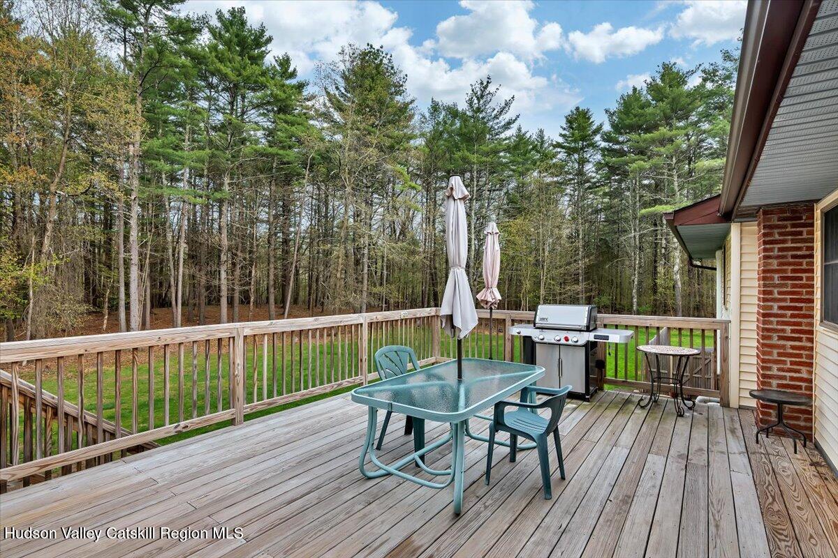 478 Joel M Austin Road Cairo, NY 12413 - Photo 47 of 68 44-P1841688