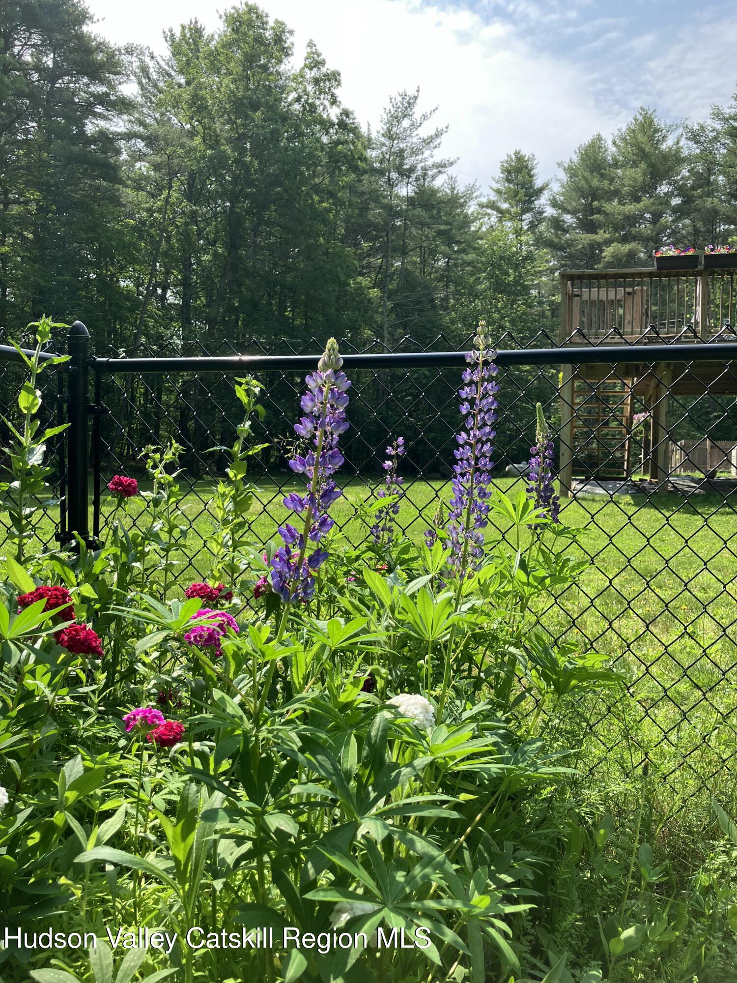 478 Joel M Austin Road Cairo, NY 12413 - Photo 55 of 68 IMG_1196