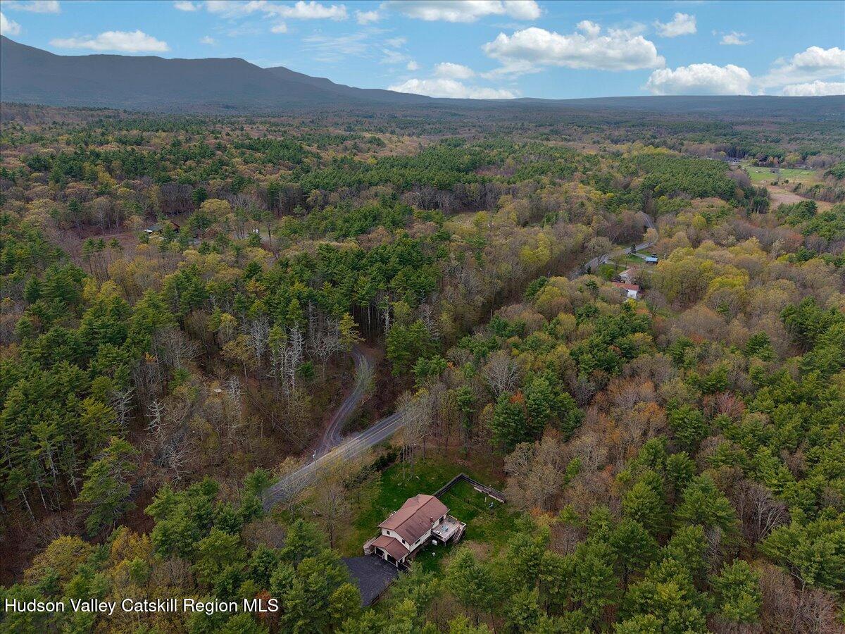 478 Joel M Austin Road Cairo, NY 12413 - Photo 63 of 68 58-DJI_20260421171051_0252_D