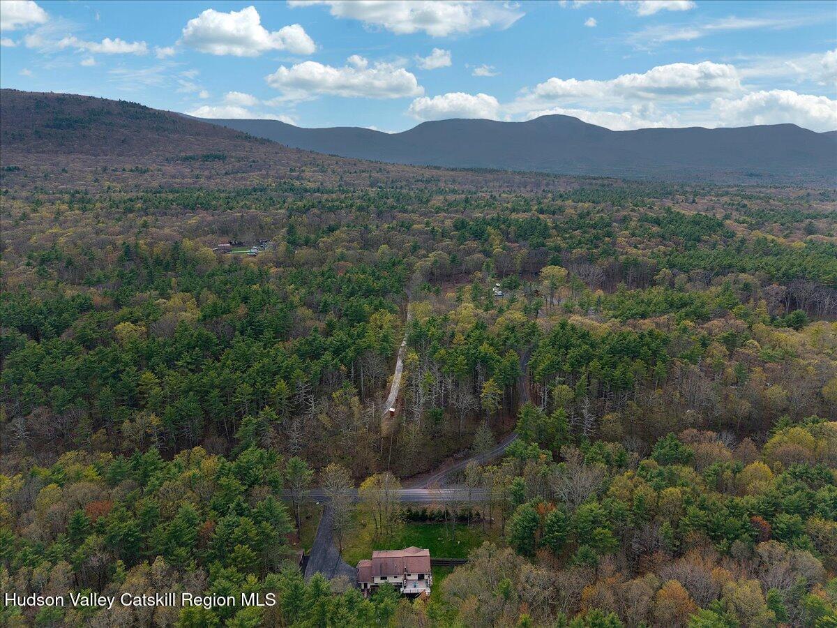 478 Joel M Austin Road Cairo, NY 12413 - Photo 64 of 68 59-DJI_20260421171116_0257_D