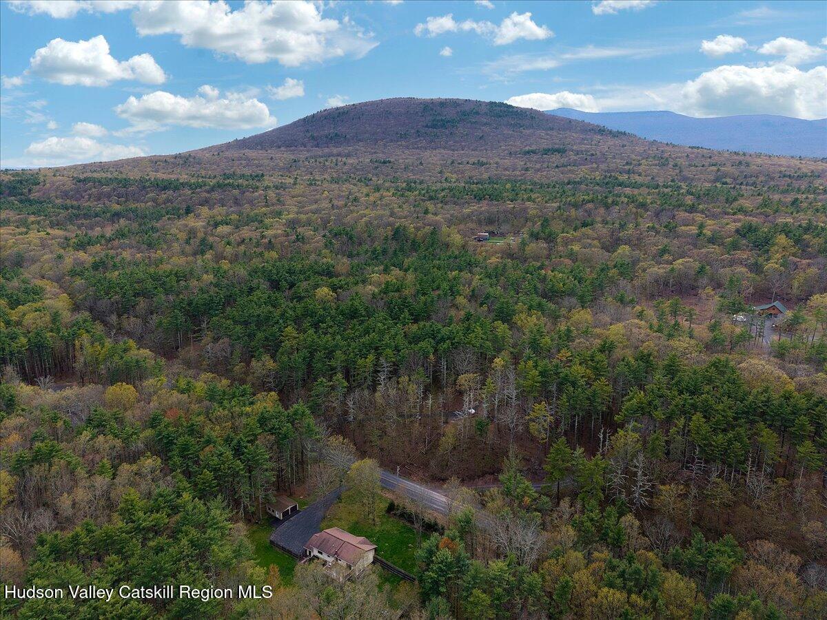478 Joel M Austin Road Cairo, NY 12413 - Photo 65 of 68 60-DJI_20260421171134_0262_D