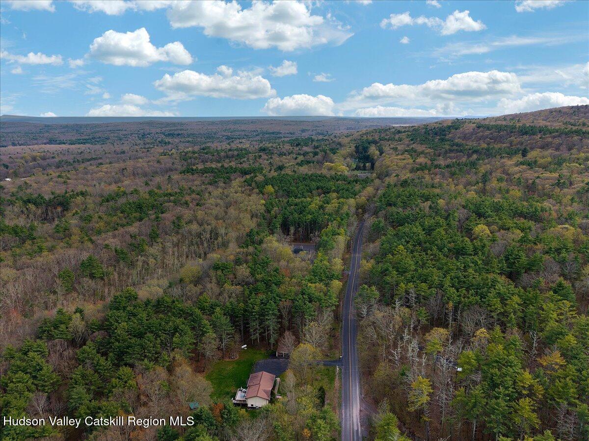 478 Joel M Austin Road Cairo, NY 12413 - Photo 66 of 68 61-DJI_20260421171217_0267_D