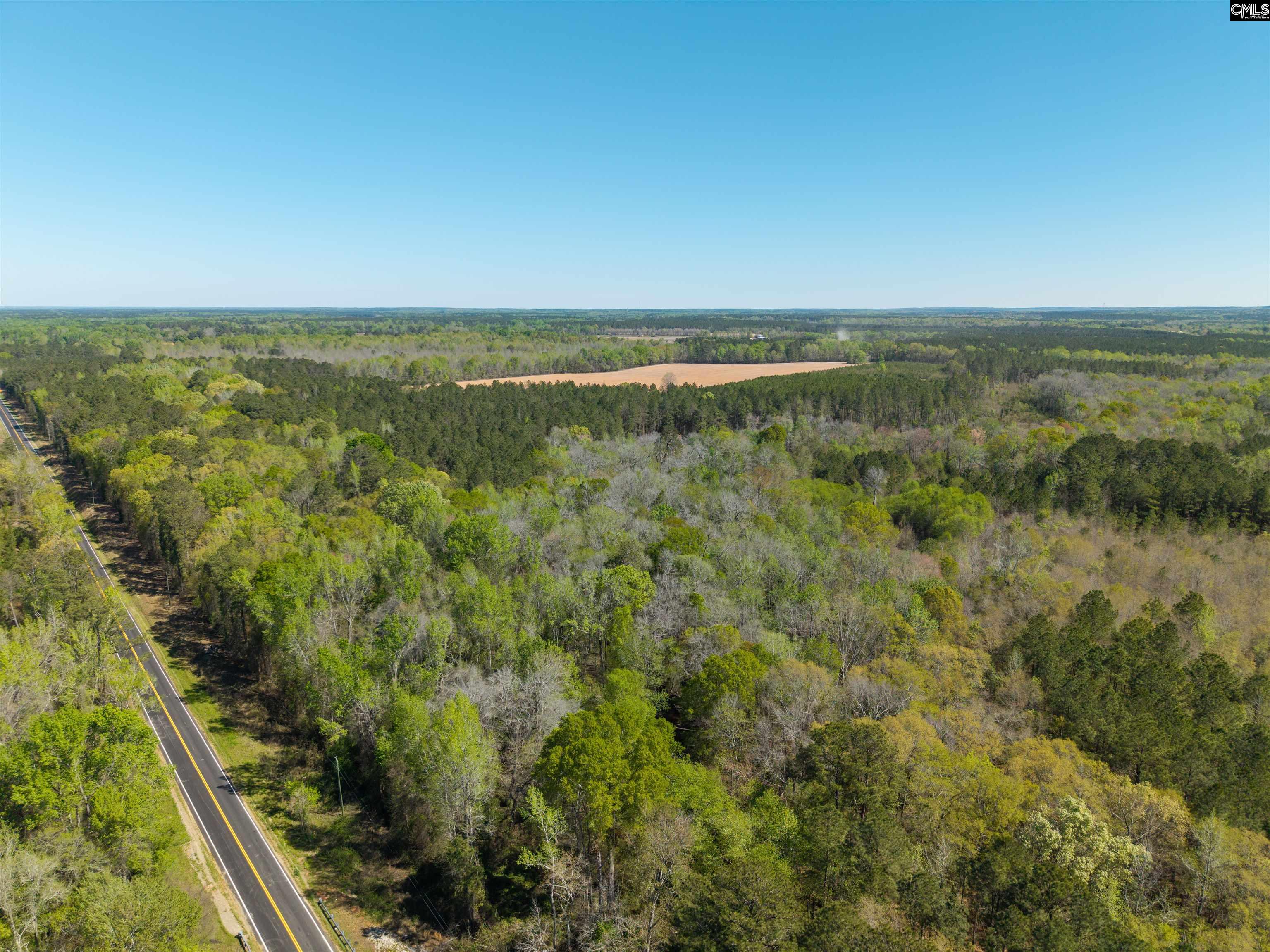 Horatio Haygood Road Rembert, SC 29128 - Photo 3 of 9