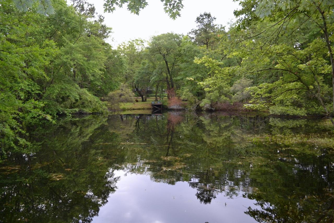 1226 Chandler Road Awendaw, SC 29429 - Photo 20 of 27 1226 pond (1280x853)