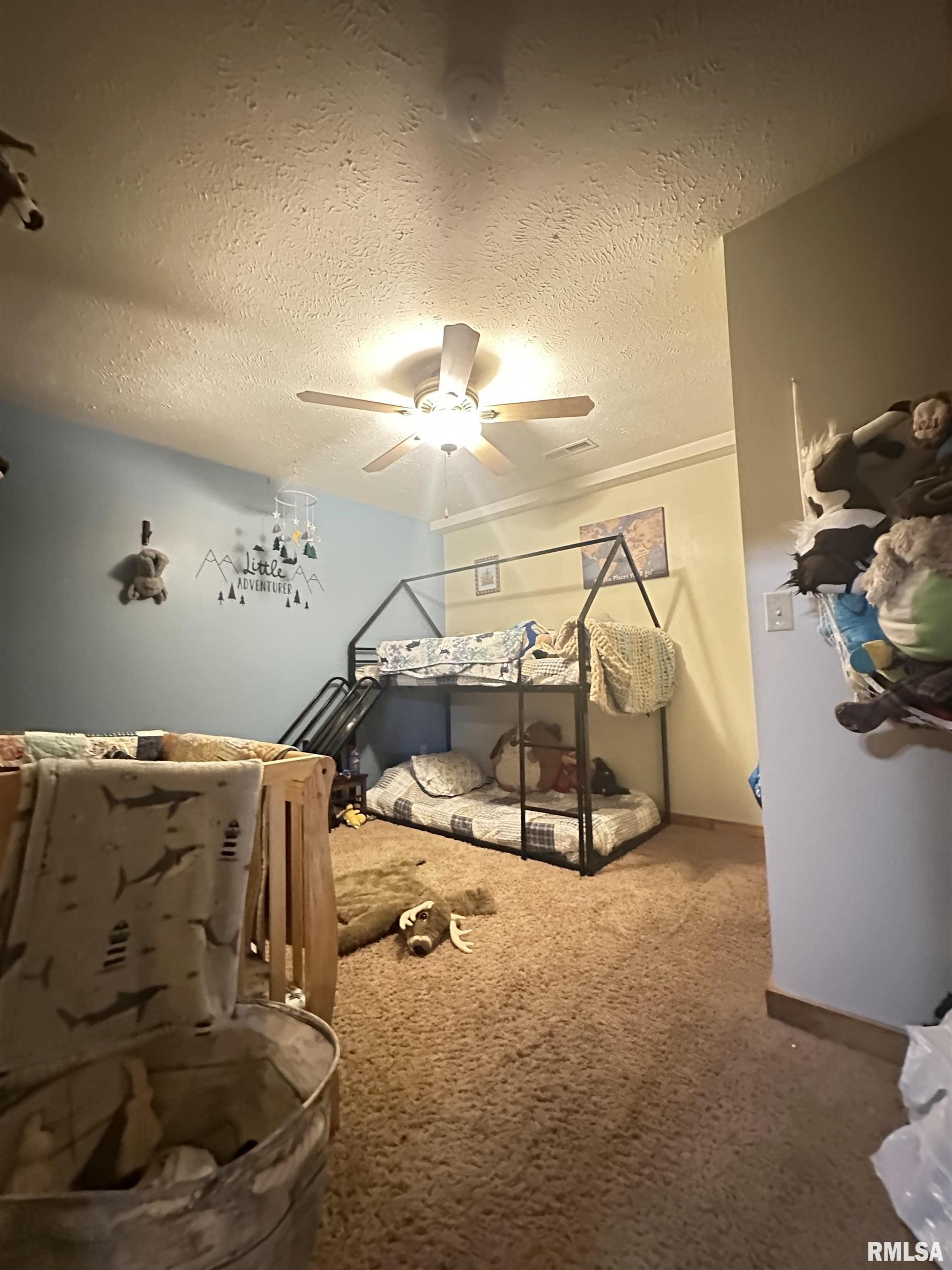 155 Hickam Road Alto Pass, IL 62905 - Photo 23 of 33