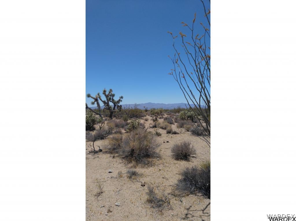 3004 Alamo Road Yucca, AZ 86438 - Photo 6 of 12 Gallery Image 6