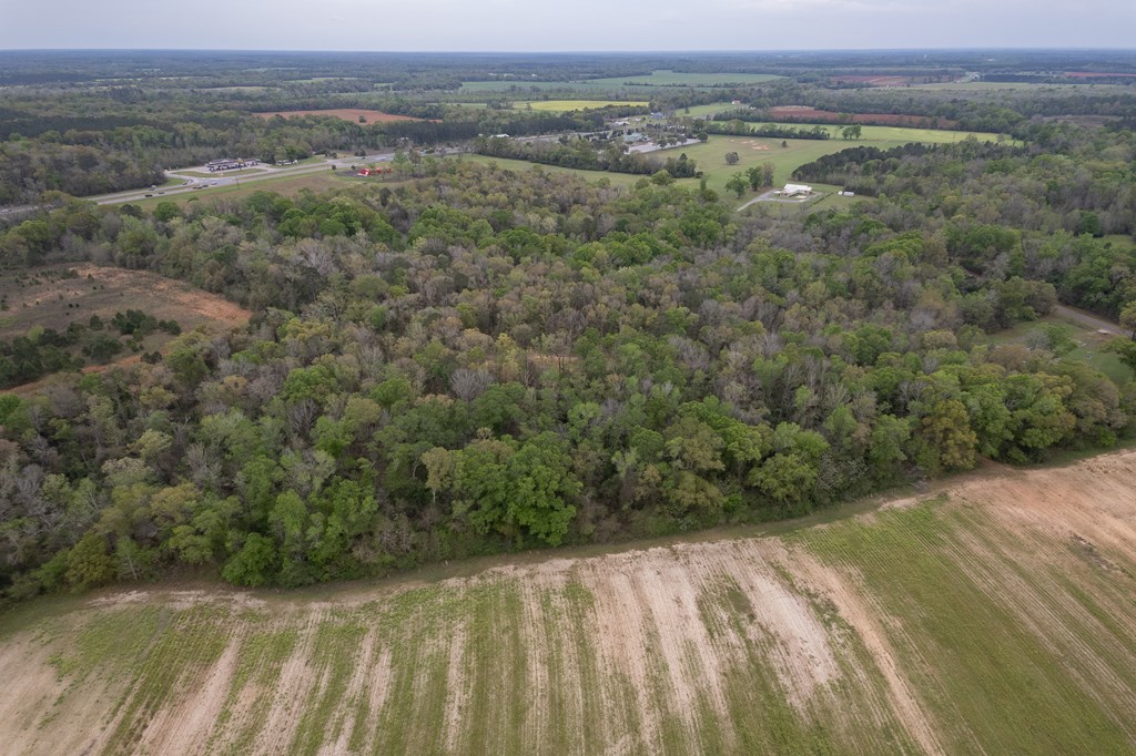 3-acres Singletary Road Slocomb, AL 36375 - Photo 10 of 15