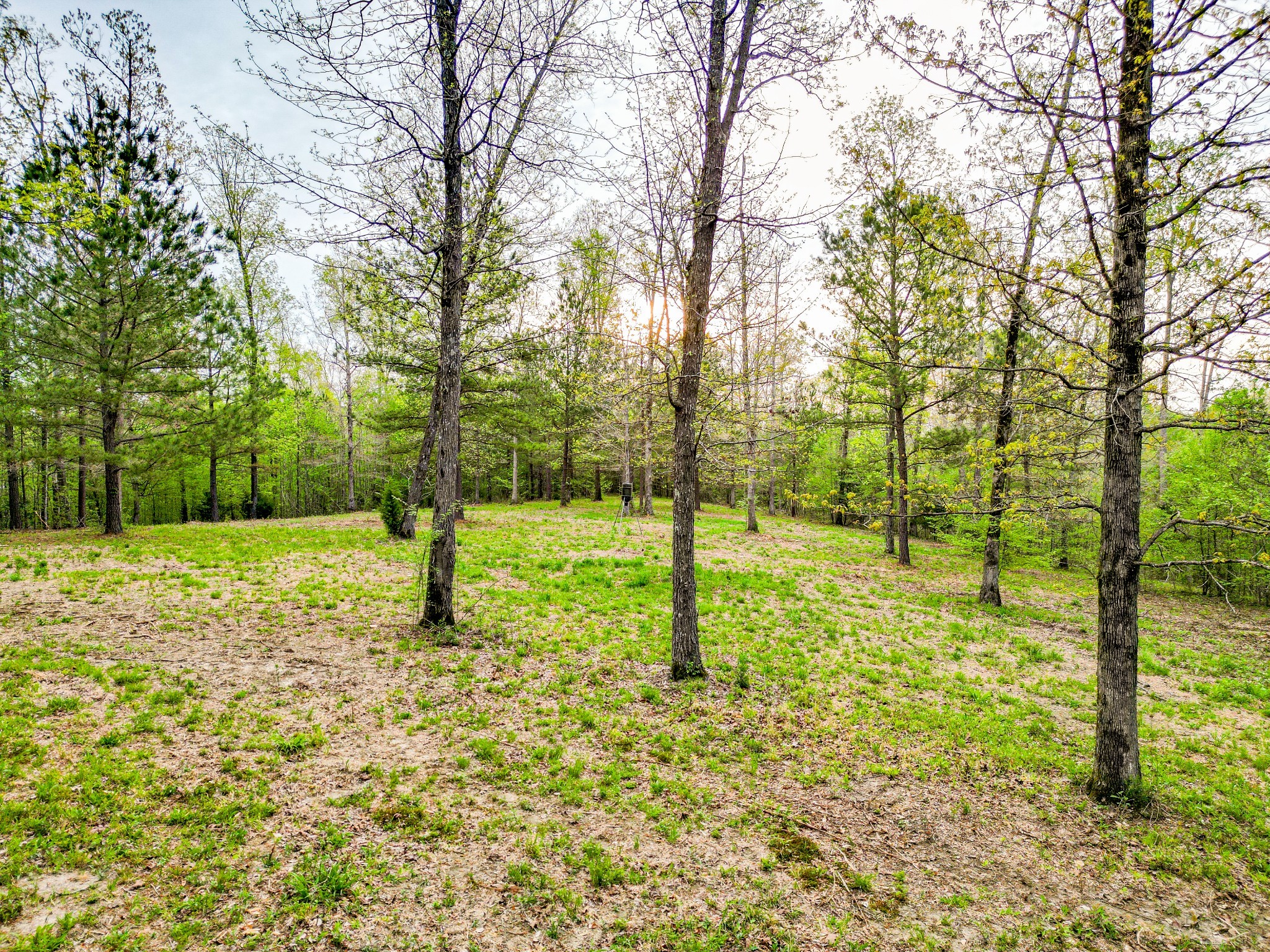 920 Mason Bates Bend Road Centerville, TN 37033 - Photo 68 of 82 Gallery Image 68
