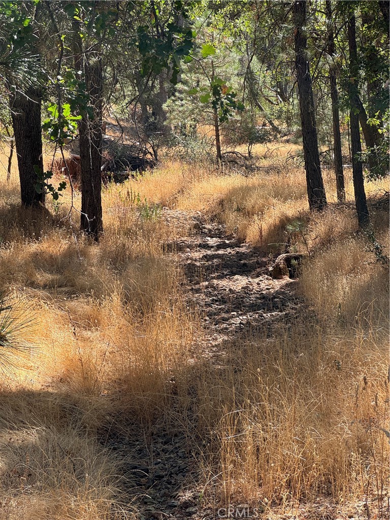 5718 East Whitlock Road Mariposa, CA 95338 - Photo 1 of 20 Seasonal creek
