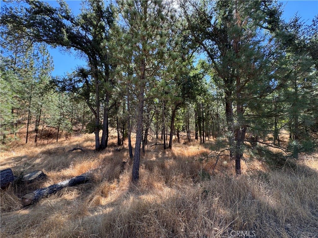 5718 East Whitlock Road Mariposa, CA 95338 - Photo 13 of 20 Gallery Image 13