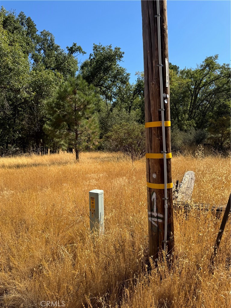 5718 East Whitlock Road Mariposa, CA 95338 - Photo 3 of 20 Gallery Image 3