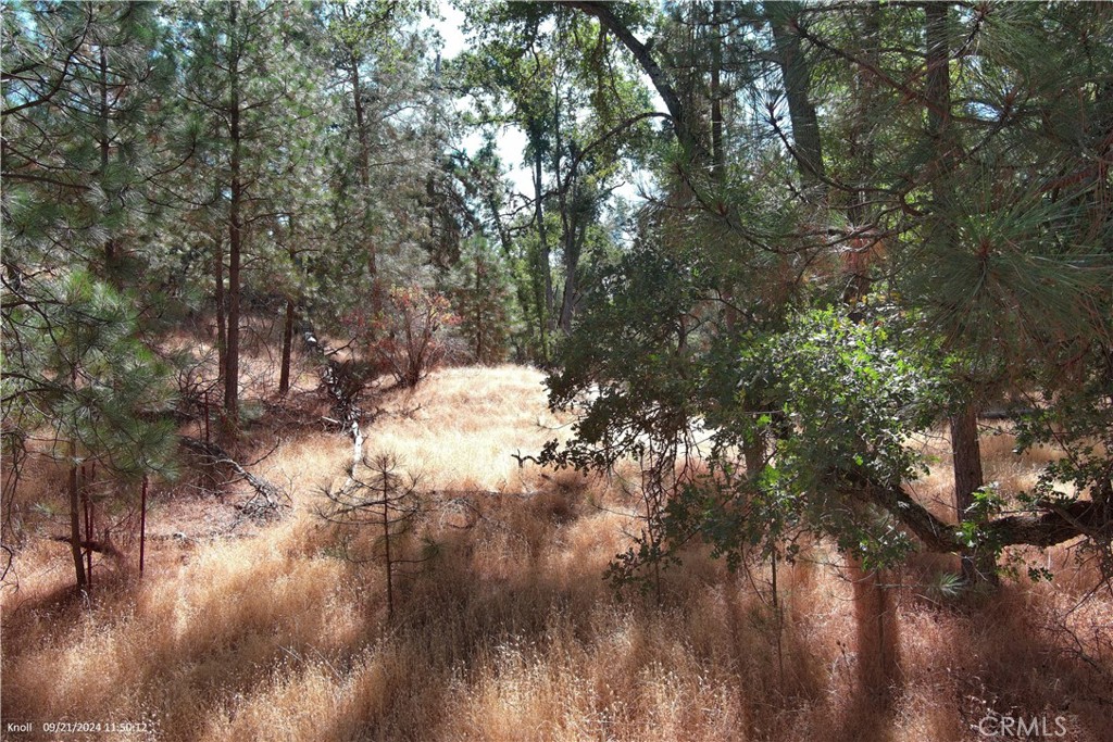 5718 East Whitlock Road Mariposa, CA 95338 - Photo 6 of 20 Gallery Image 6