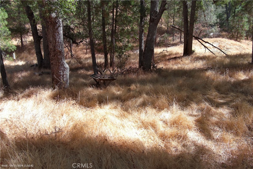 5718 East Whitlock Road Mariposa, CA 95338 - Photo 8 of 20 Gallery Image 8